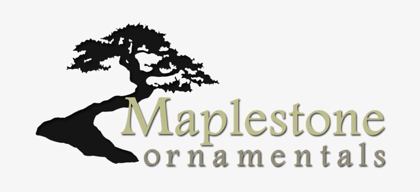 Tree, transparent png download