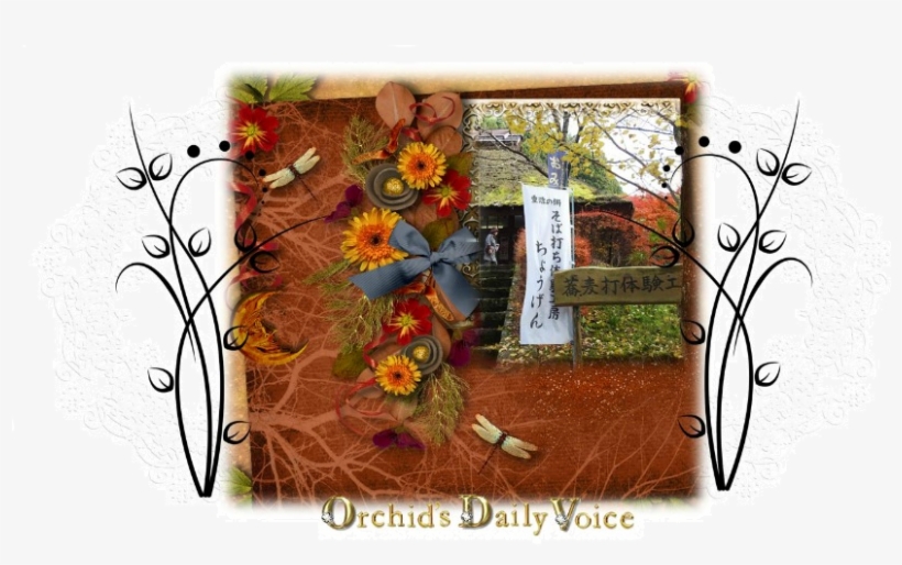 First Of All, I Wish To Say So Sorry For My Absence - Chrysanths, transparent png download