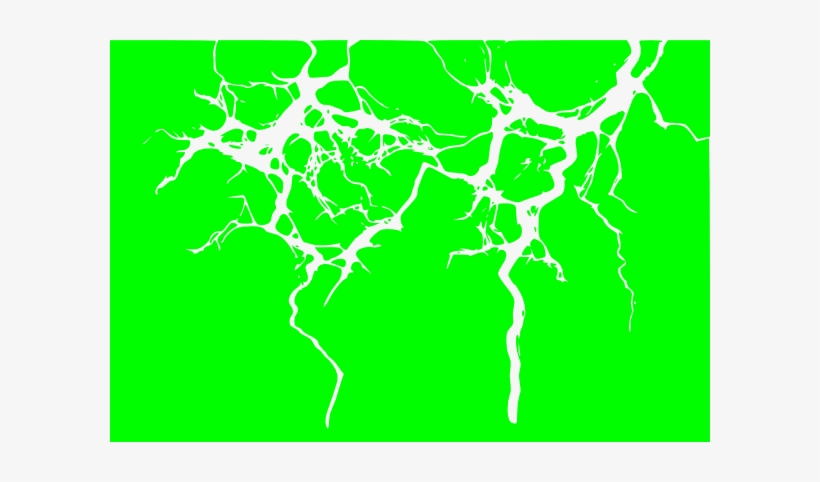Green Lightning Png - Epilpesy And The Epileptic, transparent png download