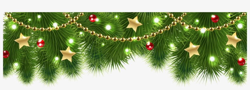 Pine Png, transparent png download