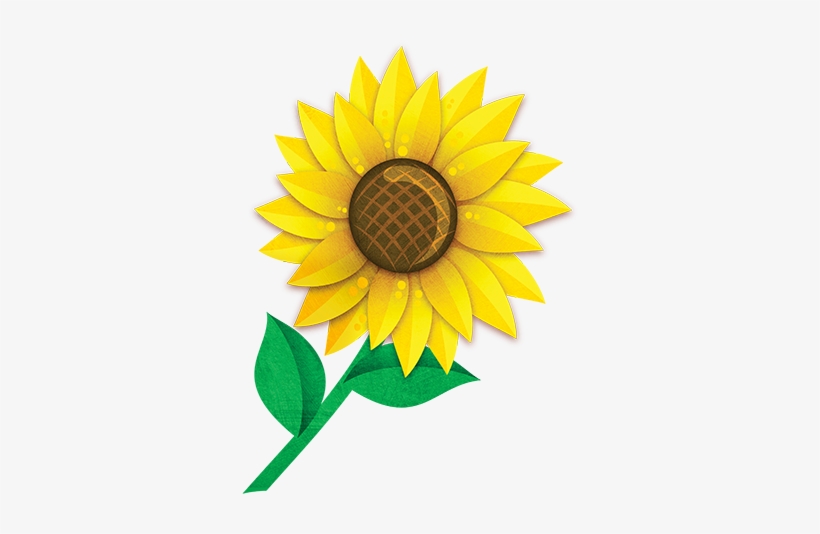 Sunflower, transparent png download