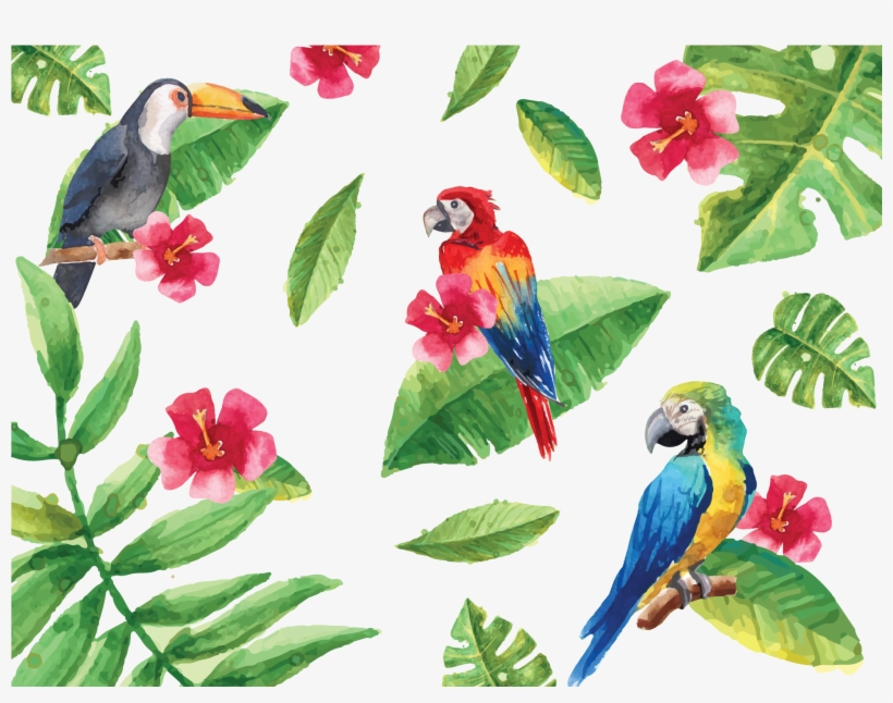 Tropical Birds - Minimalistic Wall Art - A5 Poster Groene Boho Bladeren, transparent png download