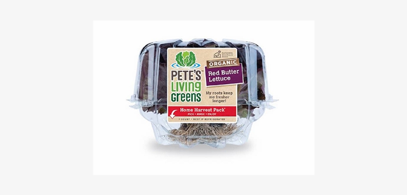 Packer - Food, transparent png download