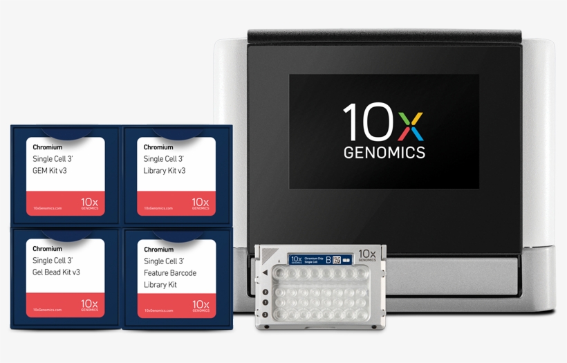 Chromium 10x, transparent png download
