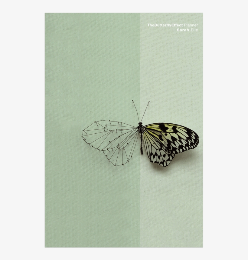 Power Of Intention Planner - Melanargia, transparent png download