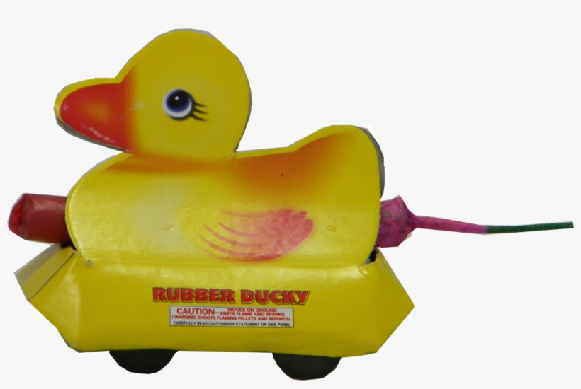 Duck, transparent png download