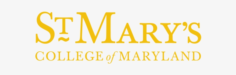 Gold, Png - Rolex 116034, transparent png download