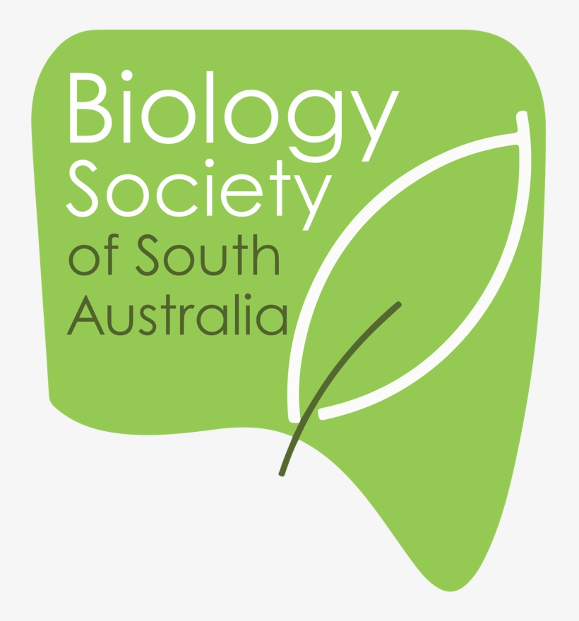 Bssa Participate - Discover - Connect - Graphic Design, transparent png download