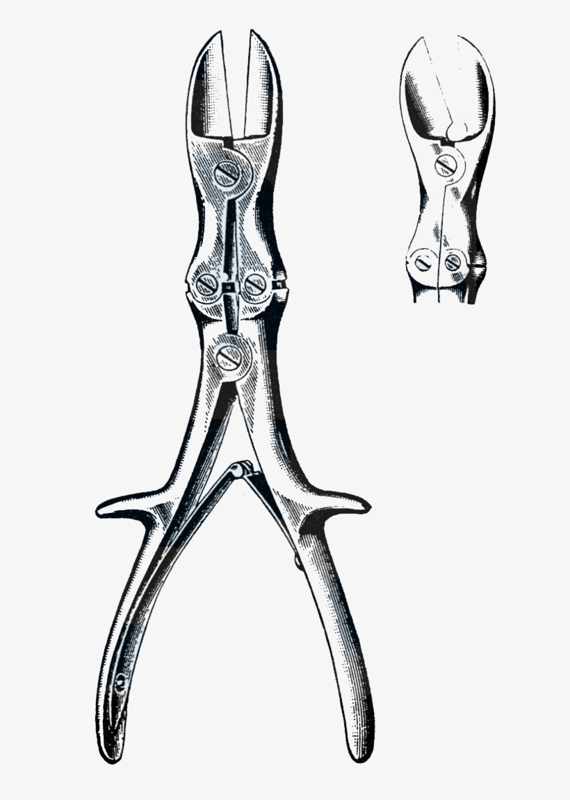 Stille-liston Bone Cutting Forceps, Angular Jaws 10 - Sketch, transparent png download