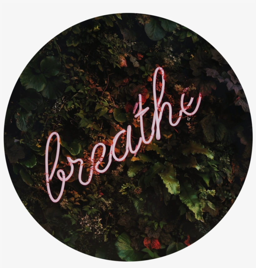 Breathe, transparent png download