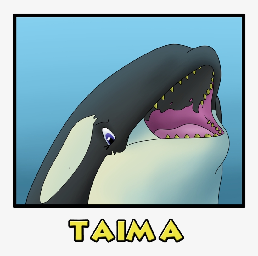 Orca Aware, transparent png download