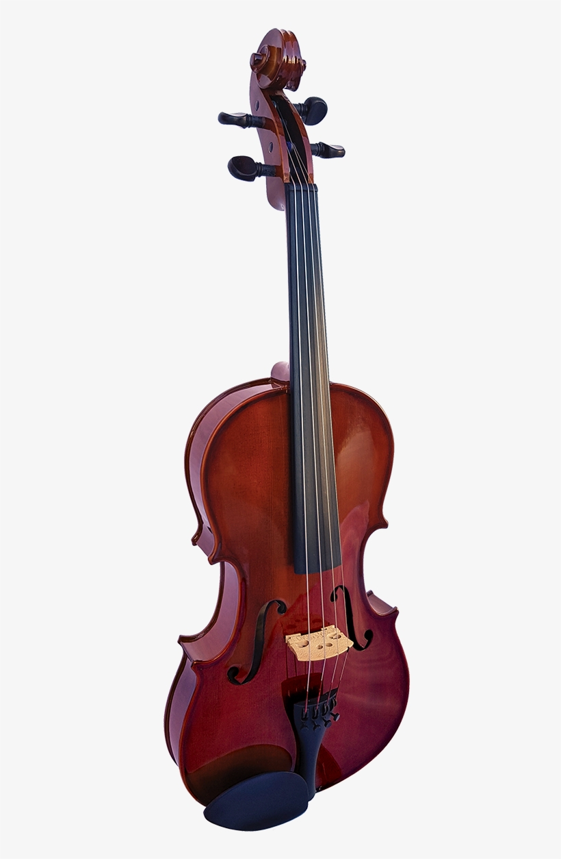 Loading Zoom - Hidersine Piacenza Cello, transparent png download