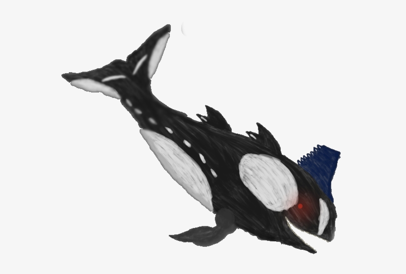 Orca Leviathan - Killer Whale, transparent png download