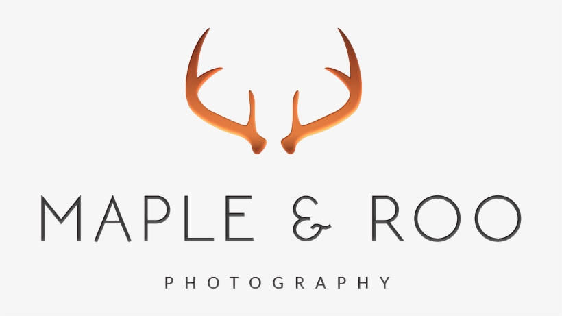 Maple & Roo Photography - Calligraphy, transparent png download