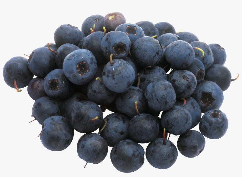 Png Format, Blueberry, Flowering Plants, Safety, Harry - Blueberry, transparent png download