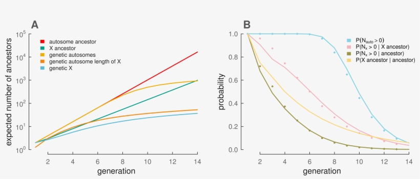 A Present-day Female's Number Of Genealogical And Genetic - Plot, transparent png download
