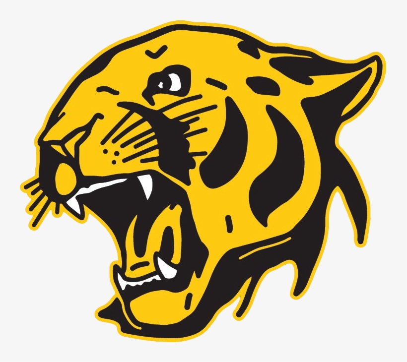Cougars In The News - Capo Valley High School Logo, transparent png download