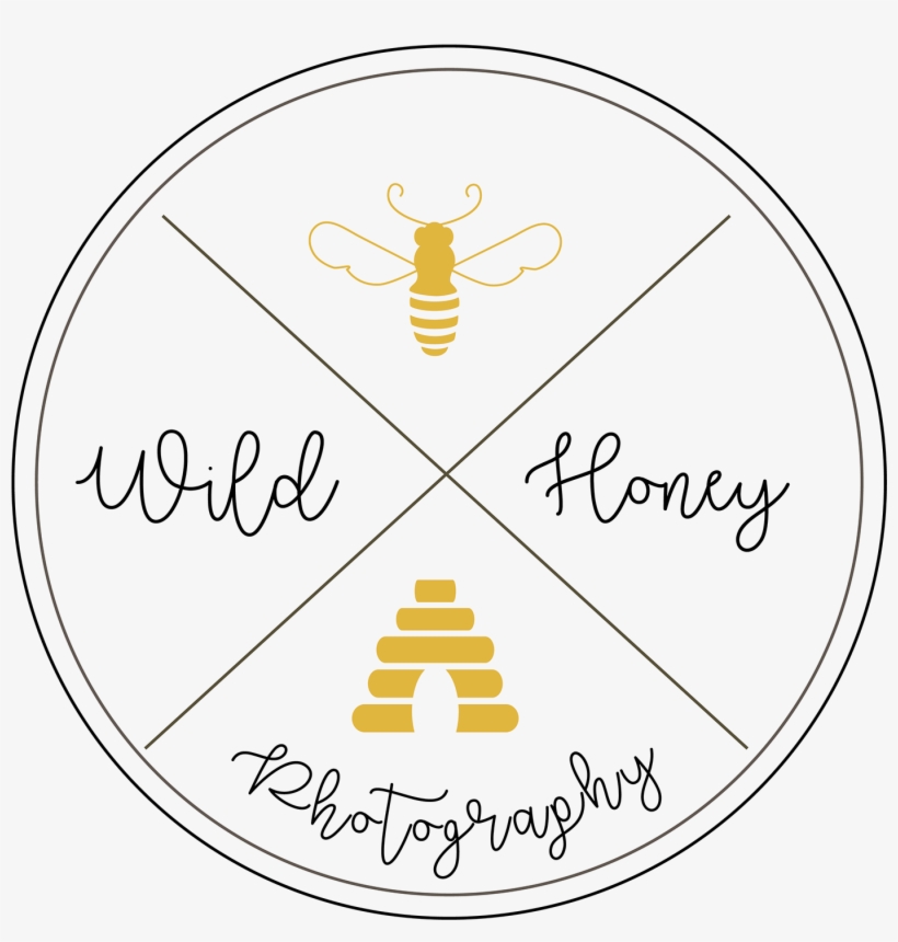 Circle, transparent png download