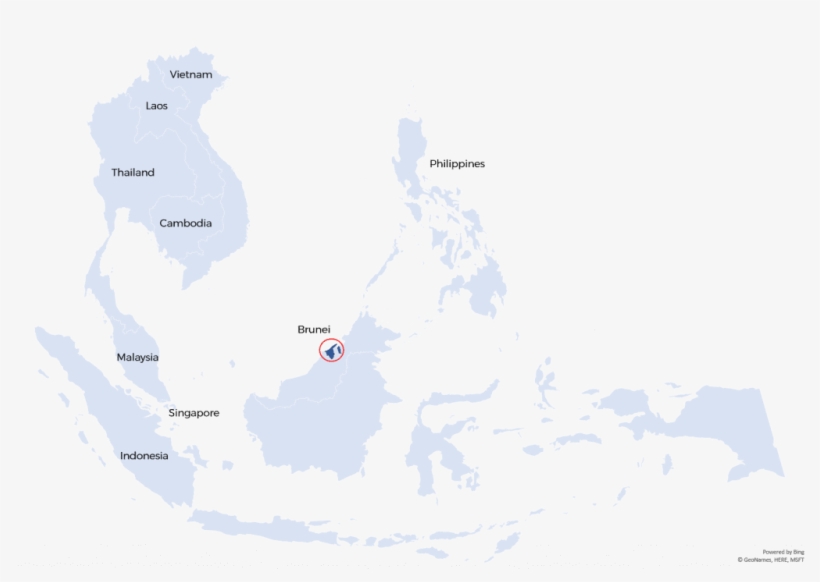 Our Knowledge And Presence In The [overseas] Markets - Map, transparent png download