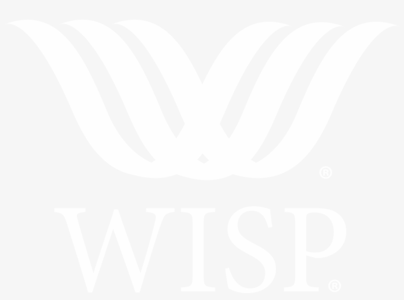 The Wisp Cleaning System Giveaway - Illustration, transparent png download