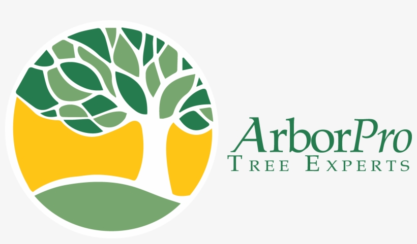 Tree Company, transparent png download