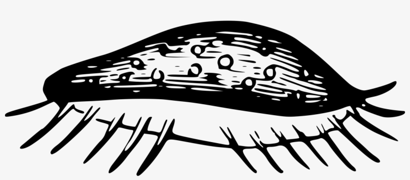 Microscope Computer Icons Aquatic Animal Black And - Illustration, transparent png download