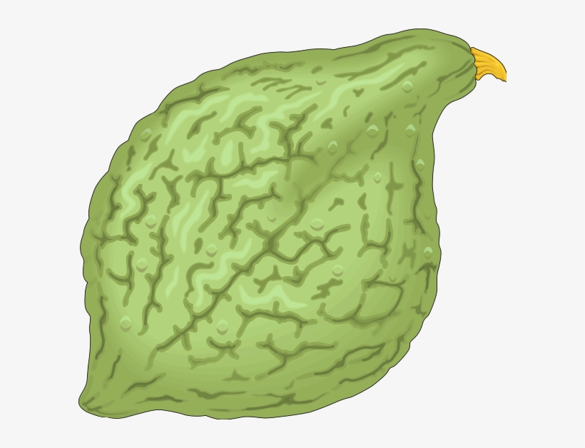 Vegetables 06 Png Clip Arts, transparent png download