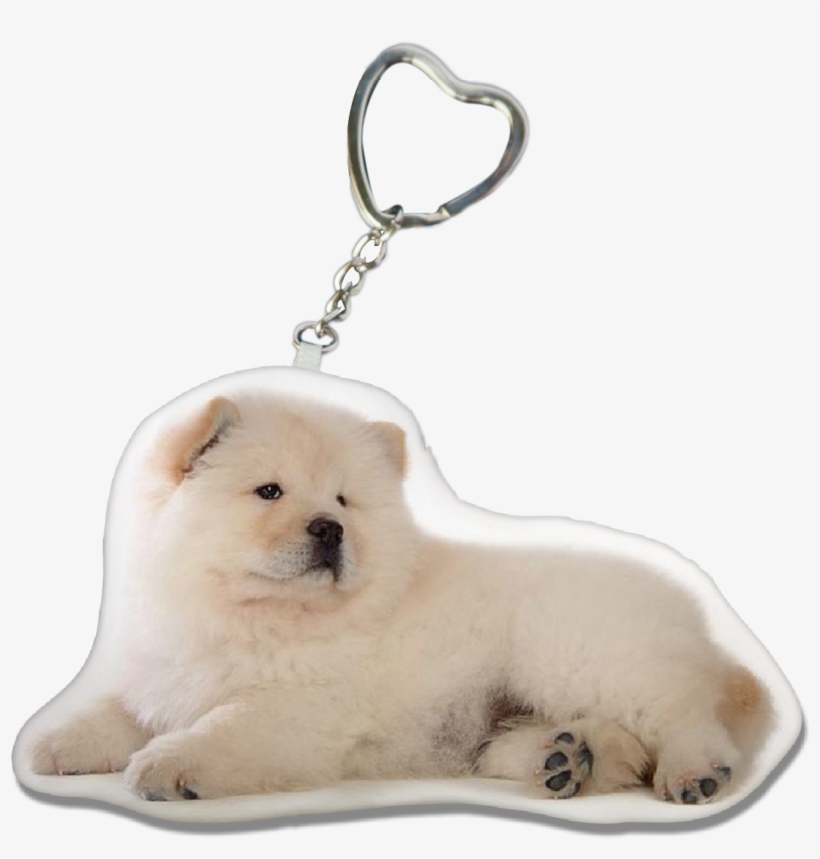Chowchow Key-chain - Chow Chow, transparent png download