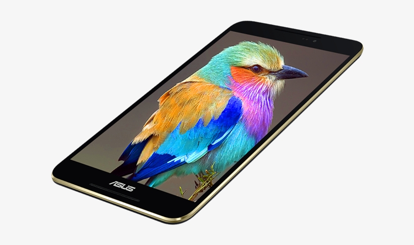 Fonepad - Lilac Breasted Roller Bird, transparent png download