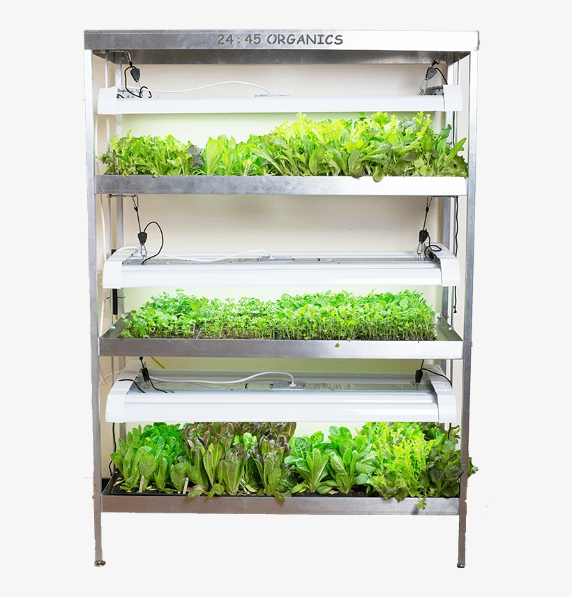 Shelf, transparent png download