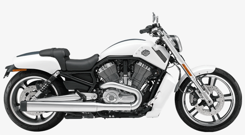 V-rod Muscle<sup>®</sup> - Harley Davidson Muscle 2017, transparent png download