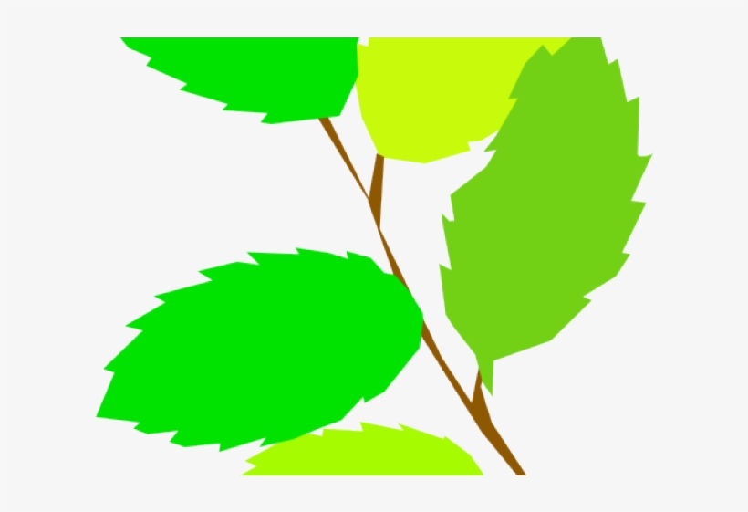 Green Leaves Clipart 5 Leave - Plant With 5 Leaves Clipart, transparent png download
