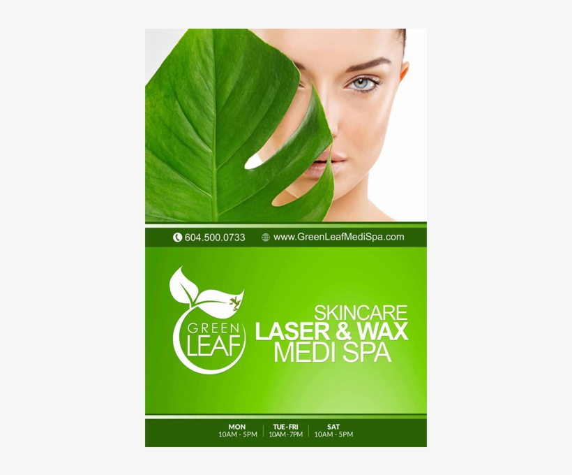 Green Leaf Medi Spa Street Poster - Fish, transparent png download