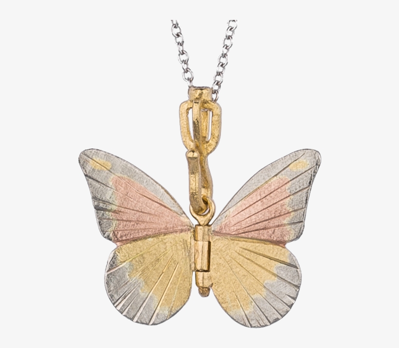Butterflies - Locket, transparent png download