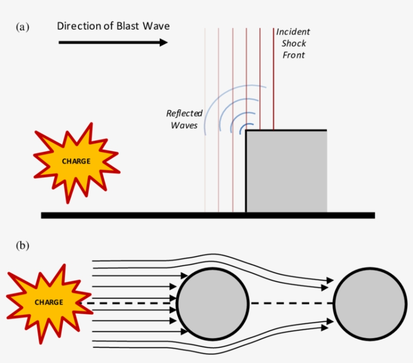Schematic Showing Formation Of - Plasmacytoid Dendritic Cells, transparent png download