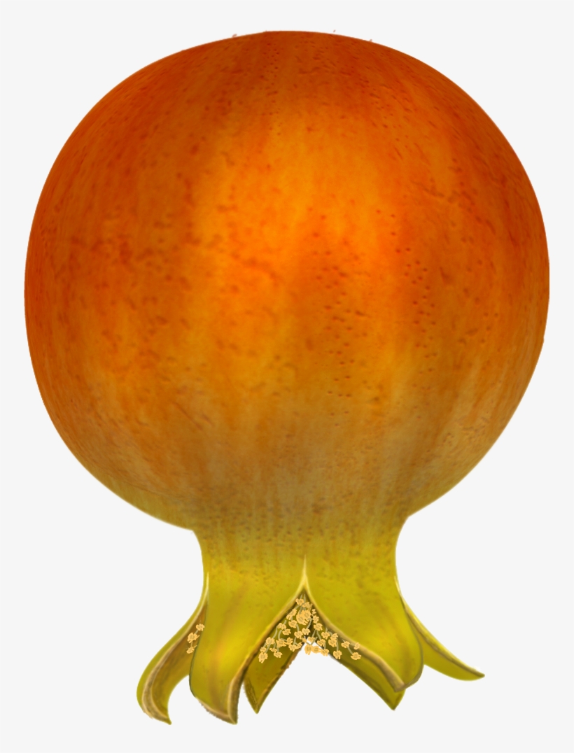 Free Pomegranates Vector Png - Icon, transparent png download