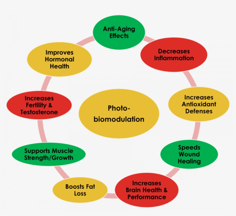 Benefits Of Pbm Therapy - Circle, transparent png download