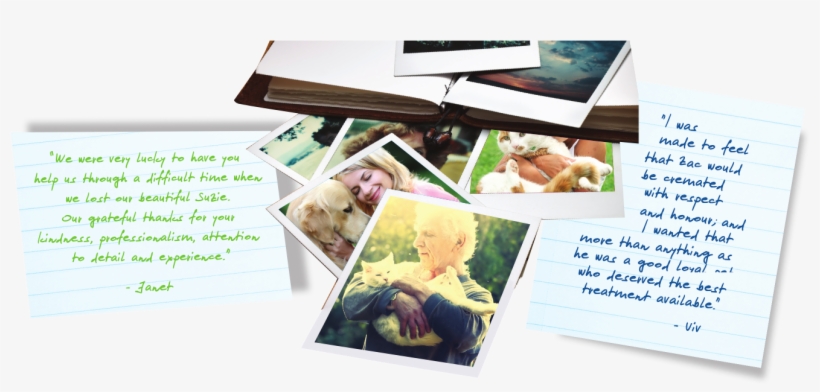 Awl Pet Cremations - Collage, transparent png download