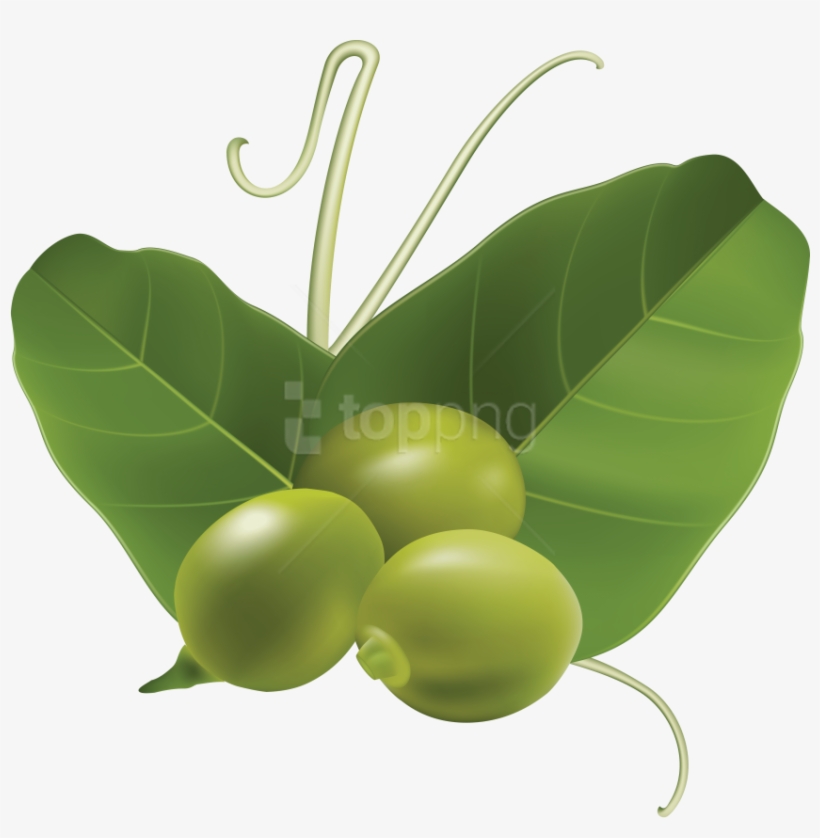 Free Png Pea Png Images Transparent - Горошина Клипарт, transparent png download