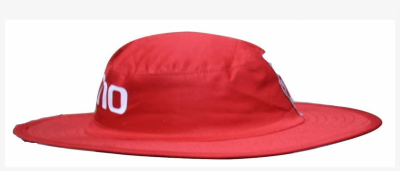 Fedora, transparent png download