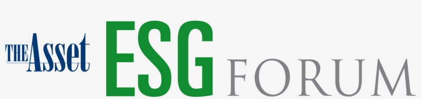 The Asset - Graphics, transparent png download