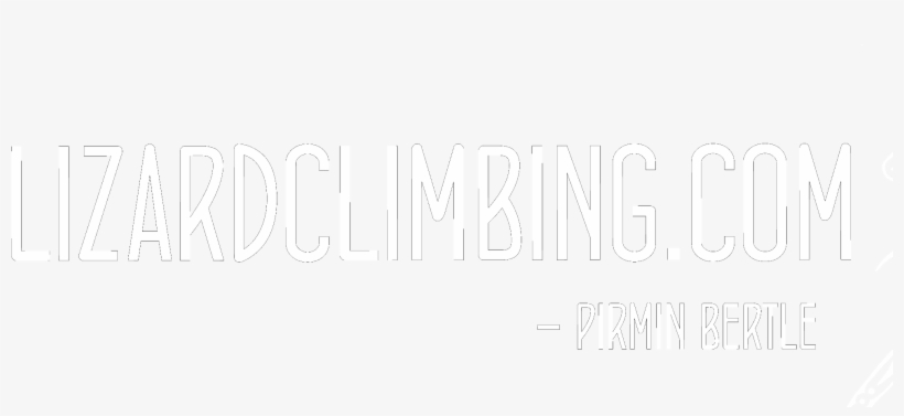 Cropped Lizard Pi Weiß - Darkness, transparent png download