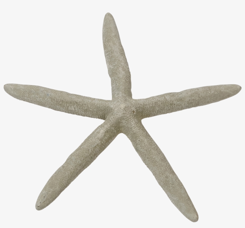 Go To Image - Blue Finger Starfish, transparent png download