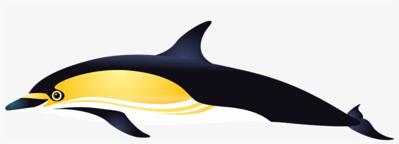 Dolphin Sea Fish Aquarium Tropical Fish Fishes - Warna Ikan Lumba Lumba, transparent png download