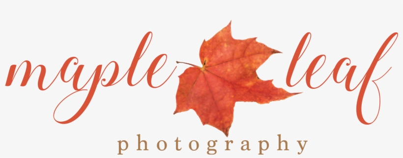 Maple Leaf Photography - Autumn, transparent png download