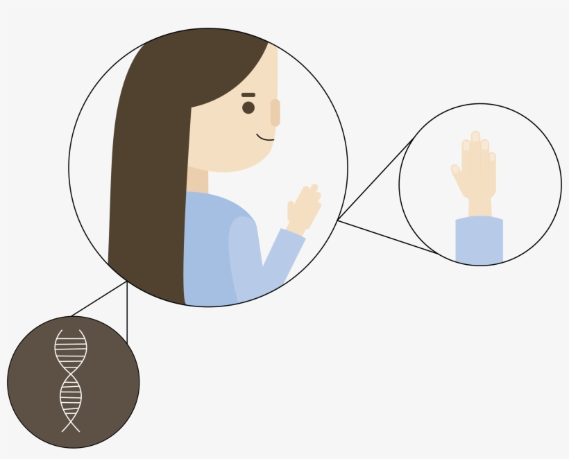 Image Of A Person Highlighting The Dna Of The Hair - Cartoon, transparent png download