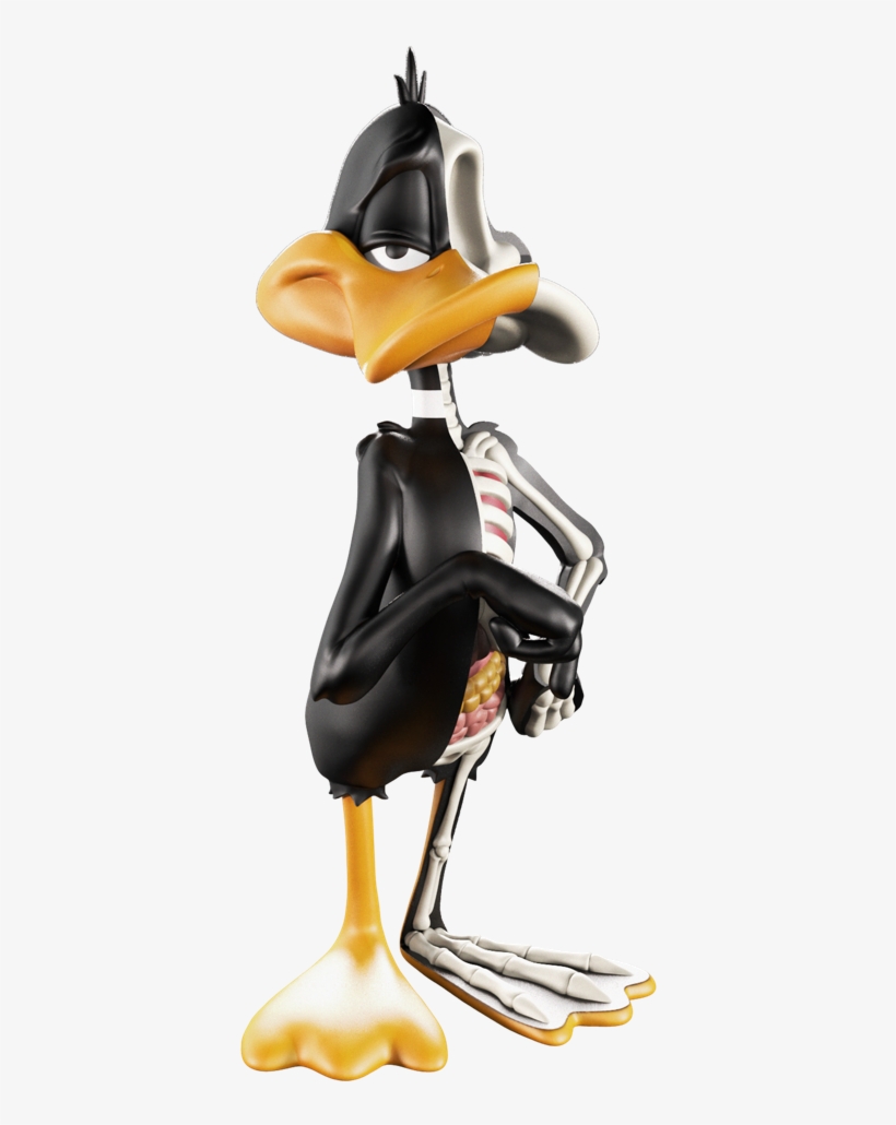 Lawsuit Of The Day - Xxray Daffy Duck, transparent png download