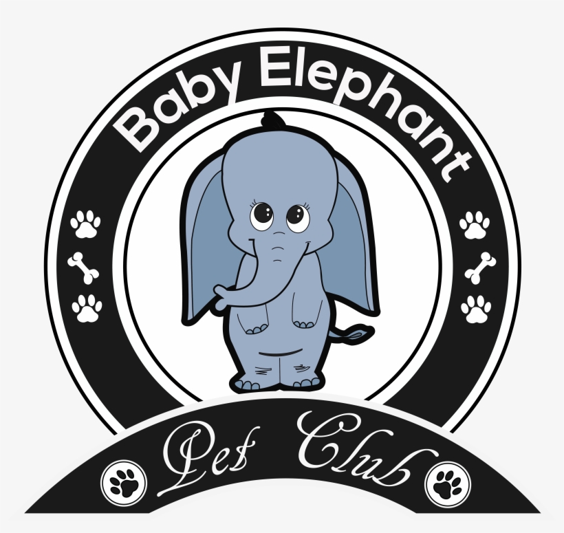 Baby Elephant - Yoga Alliance International India, transparent png download