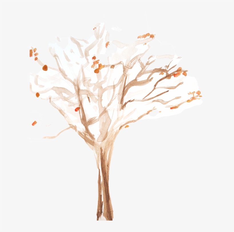 Tree-bare - Still Life Photography, transparent png download