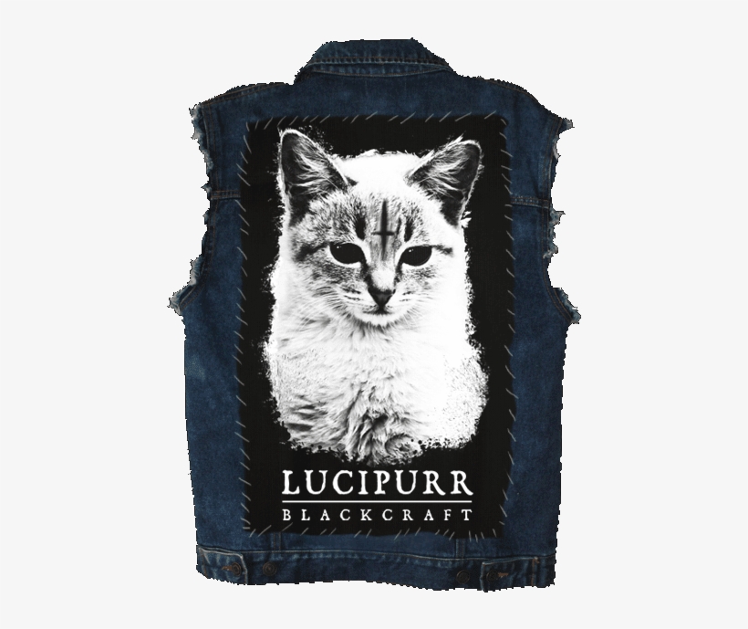 Lucipurr Backpatch Mock Website V=1462405580 - Black Craft Cult Cat, transparent png download